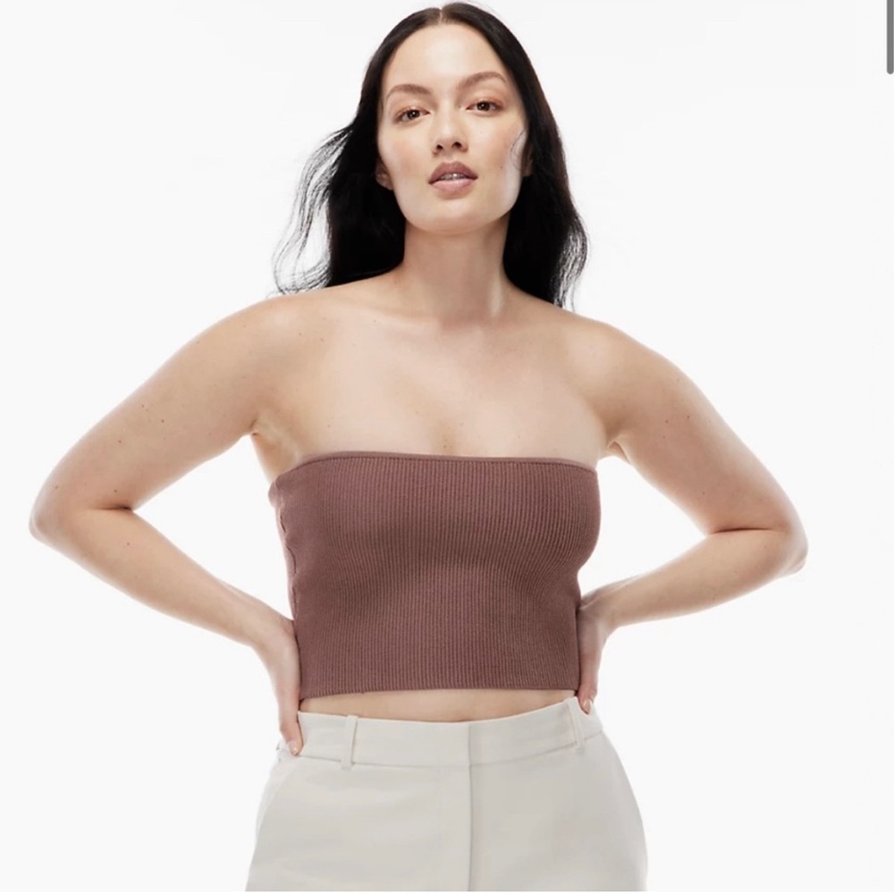 Aritzia Babaton Sculpt Knit Tube Top in Deep Taupe